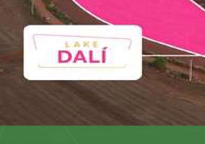 Logo Lake Dalí